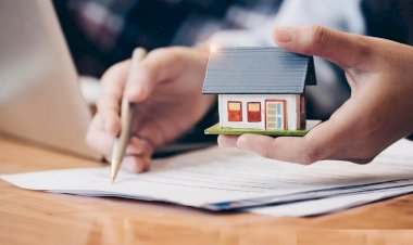 Đất không có Giấy chứng nhận có được chia thừa kế không?