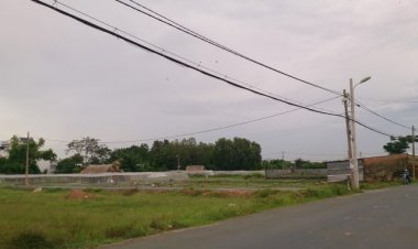 Đối tượng, điều kiện nhận chuyển nhượng đất nông nghiệp, đất lúa?