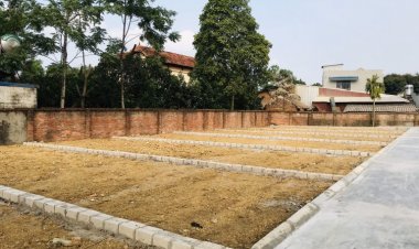 Mua đất chưa có sổ đỏ riêng, chung sổ có bị toà tuyên vô hiệu?