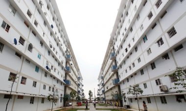 Cho thuê nhà ở xã hội nhưng không được bán trong 5 năm đầu?