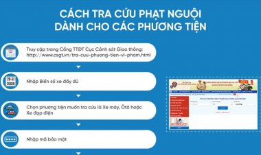 Cách tra cứu và kiểm tra xe bị phạt nguội