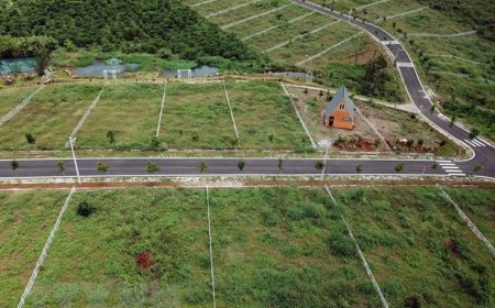 Điều kiện và diện tích tối thiểu tách thửa, hợp thửa tại Bình Dương