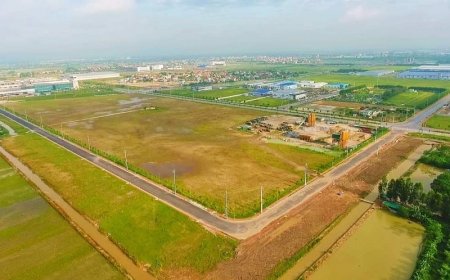 Doanh nghiệp có vốn đầu tư nước ngoài có được nhận chuyển nhượng quyền sử dụng đất?