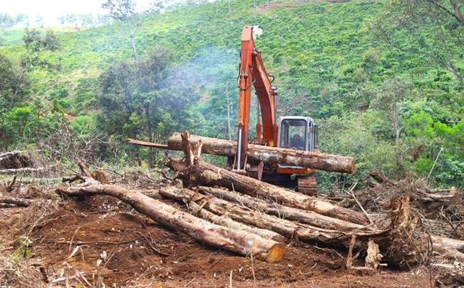 Có được phép chuyển nhượng đất rừng phòng hộ không?
