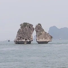 Long Le Sy